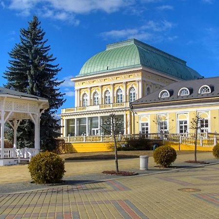 Penzion U Modreho Slona Frantiskovy Lazne Bagian luar foto