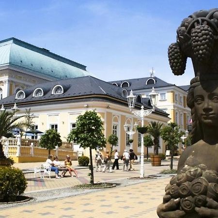 Penzion U Modreho Slona Frantiskovy Lazne Bagian luar foto