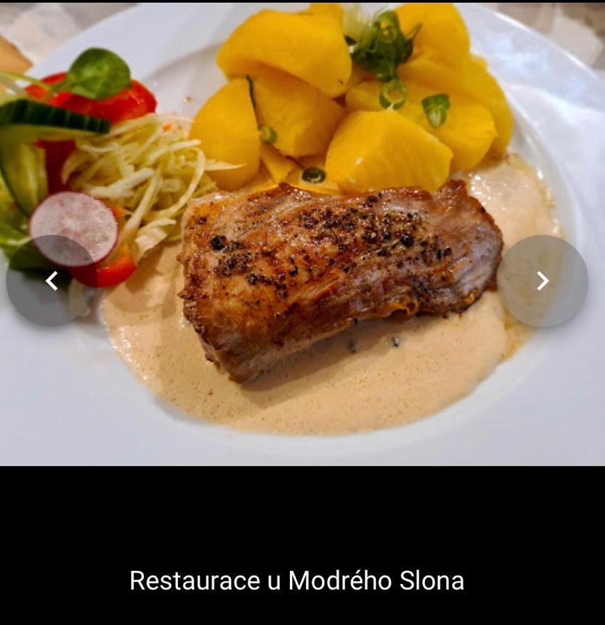 Penzion U Modreho Slona Frantiskovy Lazne Bagian luar foto
