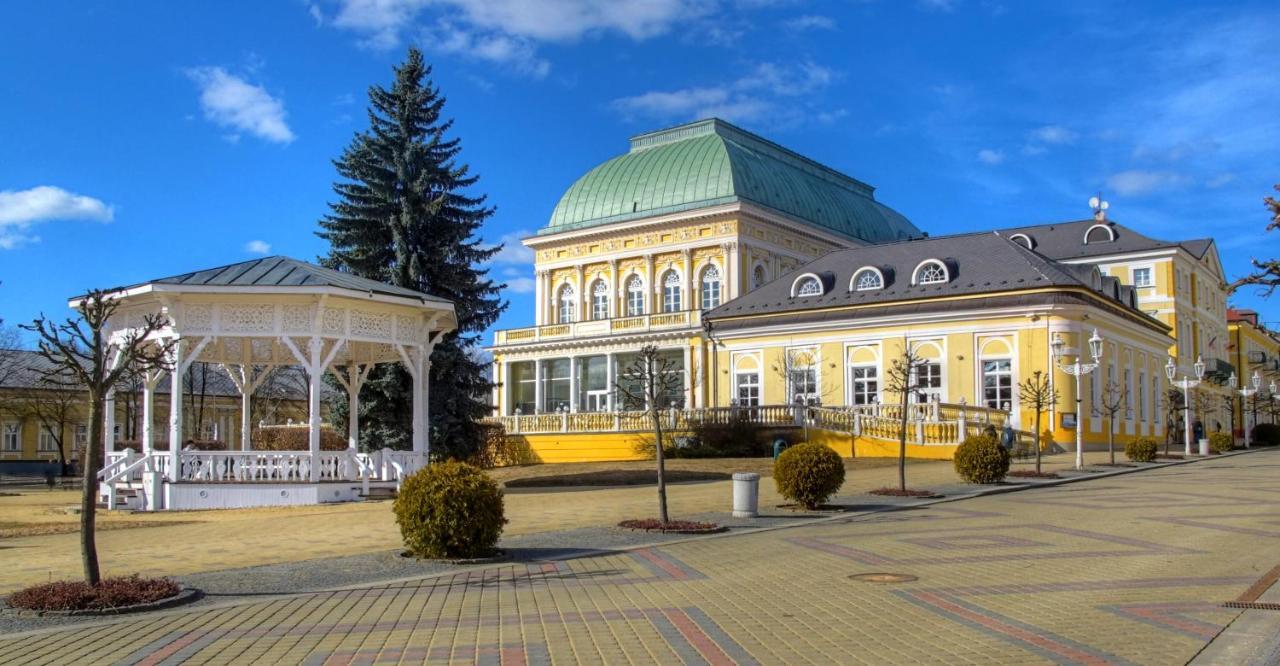 Penzion U Modreho Slona Frantiskovy Lazne Bagian luar foto