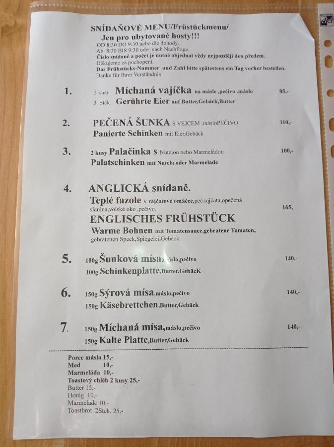 Penzion U Modreho Slona Frantiskovy Lazne Bagian luar foto