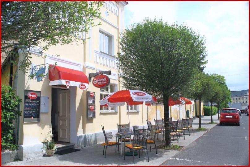 Penzion U Modreho Slona Frantiskovy Lazne Bagian luar foto